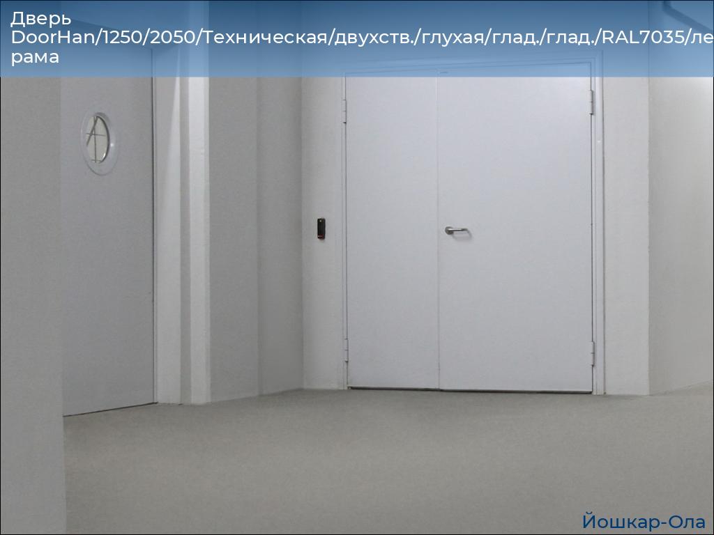 Дверь DoorHan/1250/2050/Техническая/двухств./глухая/глад./глад./RAL7035/лев./угл. рама, yoshkar-ola.doorhan.ru