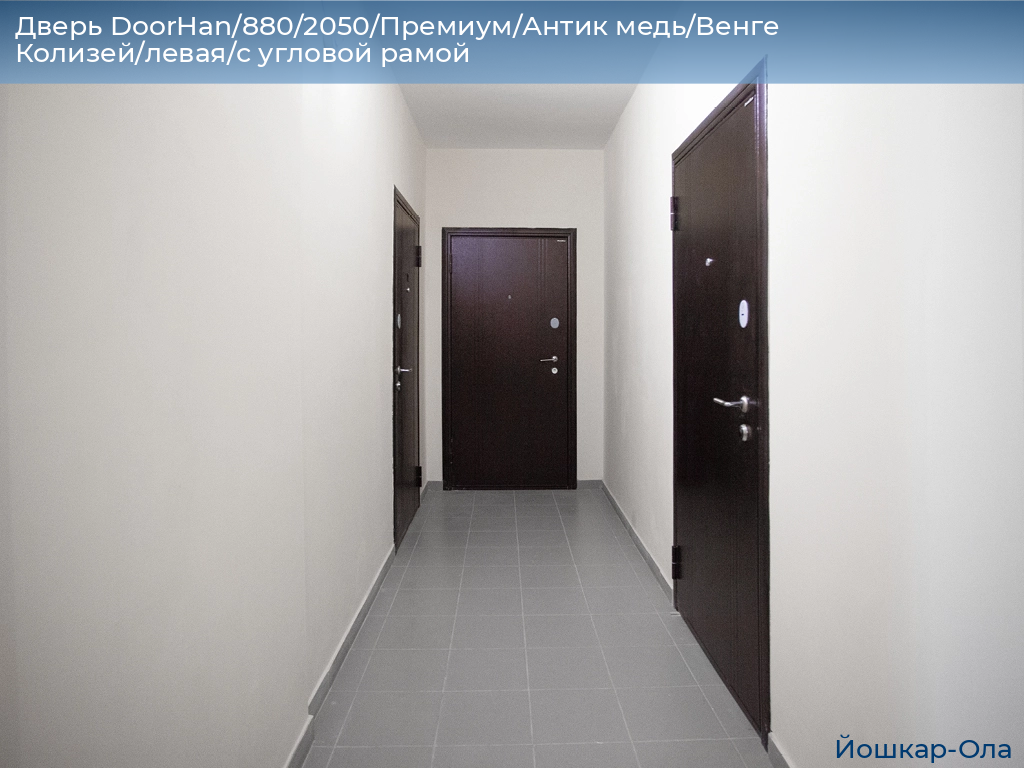 Дверь DoorHan/880/2050/Премиум/Антик медь/Венге Колизей/левая/с угловой рамой, yoshkar-ola.doorhan.ru