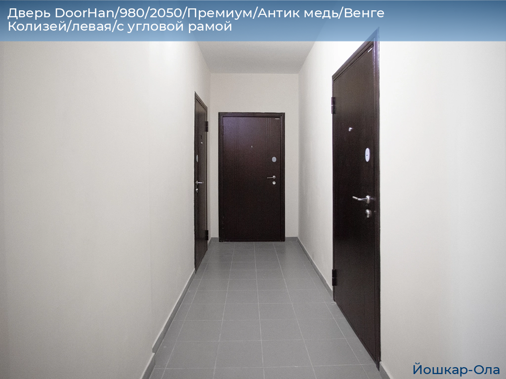 Дверь DoorHan/980/2050/Премиум/Антик медь/Венге Колизей/левая/с угловой рамой, yoshkar-ola.doorhan.ru